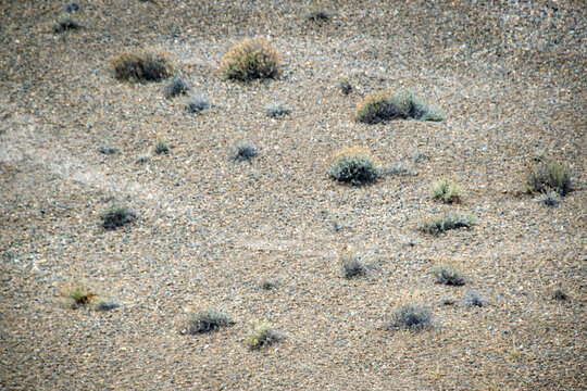 Steppen landscape at peninsula valdes, chubut, argentina