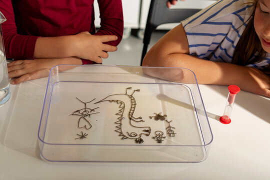 kids looking at science experiment
