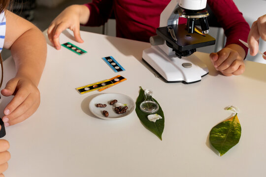 kids using microscope