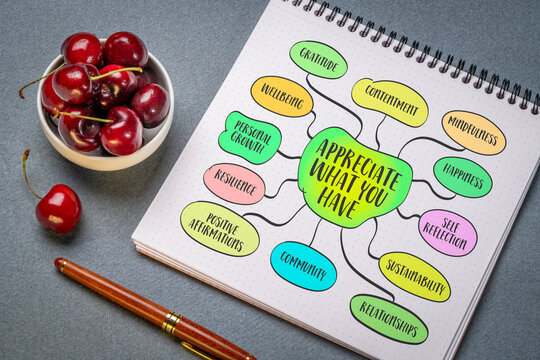 Appreciate what you have, gratitude and contentment with one's current circumstances, possessions, and relationships, lifestyle concept, mind map sketch