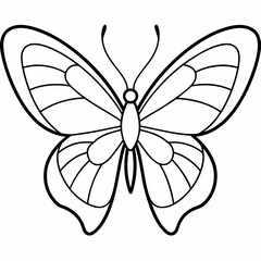 Butterfly Vector 
