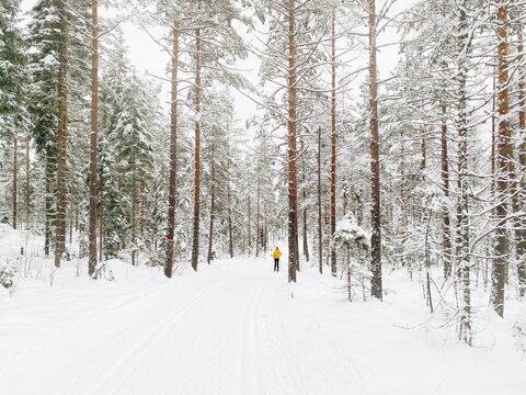 A girl cross country skiing through the woods in oslo, Norway