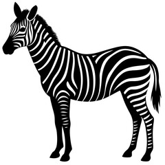 Zebra vector silhouette on white background