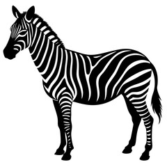 Zebra vector silhouette on white background