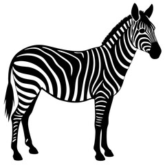 Zebra vector silhouette on white background