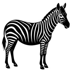 Zebra vector silhouette on white background