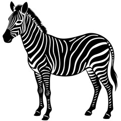 Zebra vector silhouette on white background