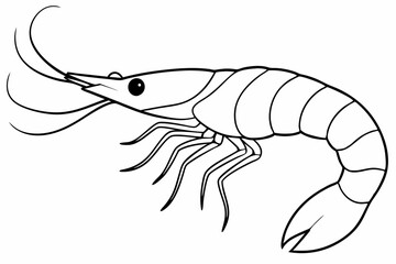 shrimp line art vector , shrimp icon vector, Sea lobster	
