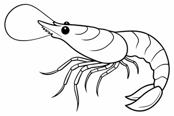 shrimp line art vector , shrimp icon vector, Sea lobster	
