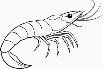 shrimp line art vector , shrimp icon vector, Sea lobster	
