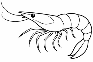 shrimp line art vector , shrimp icon vector, Sea lobster	
