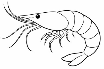 shrimp line art vector , shrimp icon vector, Sea lobster	
