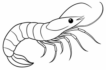 shrimp line art vector , shrimp icon vector, Sea lobster	
