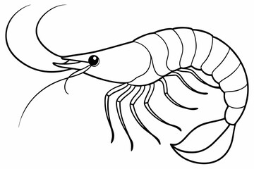 shrimp line art vector , shrimp icon vector, Sea lobster	
