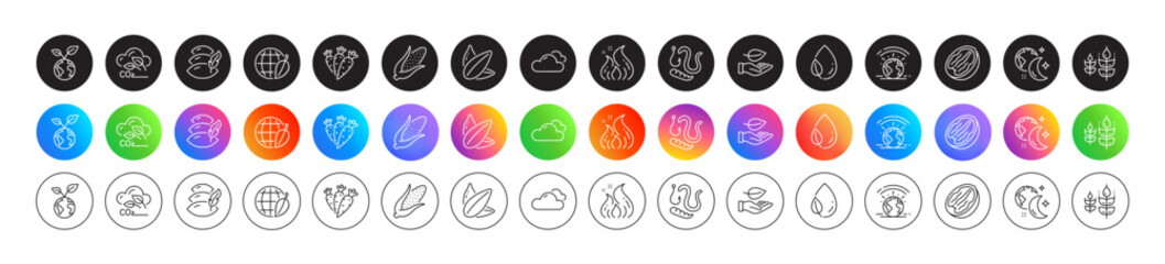 Environment day, Carrots and Leaf line icons. Round icon gradient buttons. Pack of Worms, Corn, Pillow icon. Fire energy, Gluten free, Sunflower seed pictogram. Cloudy weather, Sleep, Leaf dew. Vector