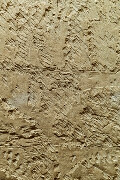 Erased ancient Egyptian murals by Coptic Christians, cultural heritage