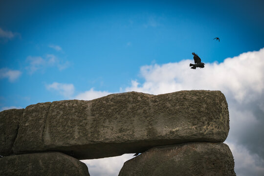 Crows of Stonehenge