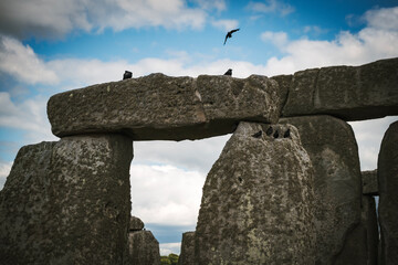 Crows of Stonehenge