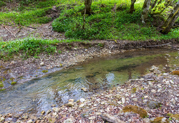 nature park ,spring awakening in nature and a walk through the forest