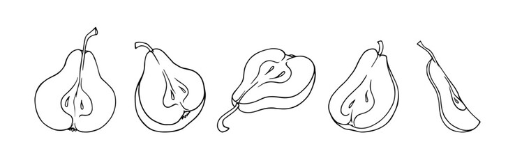 Set of linear sketches, contours of halves of pear fruits. Vector graphics.