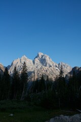 Grand Teton National Park, Teton Mountain, all three points are featured in this photo as highlighted by sunlight with shaded and shadowed trees below 
