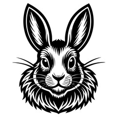  Rabbit Vector
