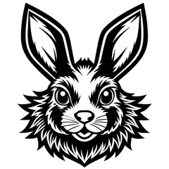  Rabbit Vector
