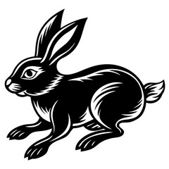 Rabbit Vector