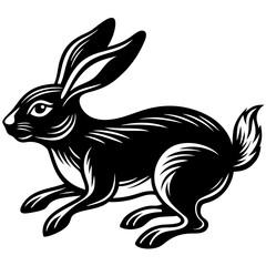  Rabbit Vector