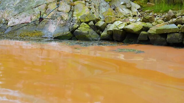 Red algae in a small bay