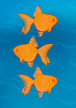 Goldfish design