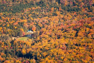 Multicolored trees during the Indian summer in Mont Tremblant, Quebec, Canada