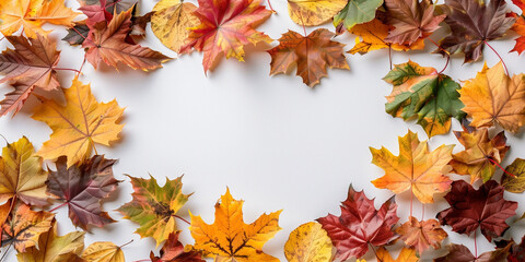 A background with autumn leaves, colorful maple leaves 