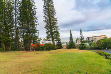 Hawaii: The Aloha State
Experience the breathtaking beauty and vibrant culture of Hawaii, from its stunning beaches and lush landscapes to its rich traditions and welcoming spirit