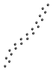Paw foot trail print