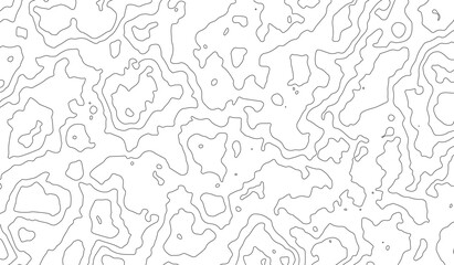 Abstract vector illustration. Topographic map background. Grid map. Contour map vector.