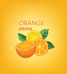 Fresh fruits with mint leaves. Fresh orange, mandarin, lemon slice and half whole pieces. Vector citrus food background with fruits juice drink. © Terriana