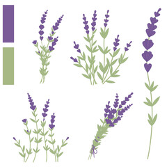 Vector illustration of lavender flowers, branches, bouquets on a white background, perfect for botanical designs, natural themes, wedding invitations, decor projects, herbal products, greeting cards