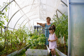 Child with her grandmother the greenhouse