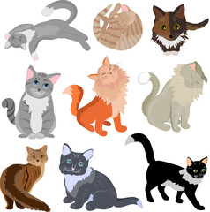 Naklejka premium Collection of multi-colored cats.Set of colored cats on a white background.