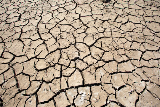 Dry land