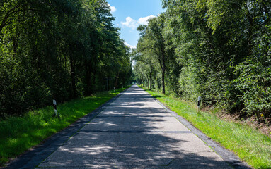 Empty asphalt road through the woods around Füchtenfeld, Lower Saxony, Germany