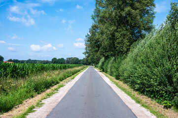 Empty asphalt road at the Geman countryside around Osterwald, Lower Saxony, Germany