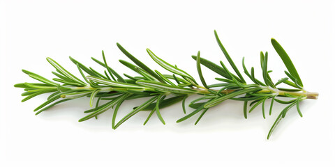 Fototapeta premium rosemary branch on a white background, alternative medicine for health food