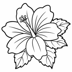 Tropical Hibiscus Flower Coloring Page - Cartoon Vector Illustration, Logo Icon, Clipart Design, Line Art, Silhouette