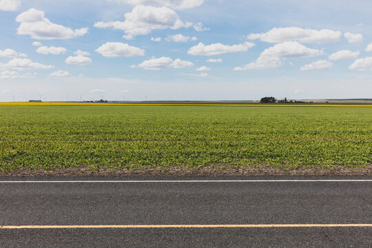 Road through rural farmland in spring