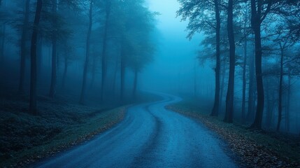Fototapeta premium A blue, foggy forest with trees. A road in the center. Scary and creepy in the dark night.