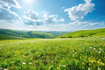 Fototapeta premium idyllic countryside rolling green hills dotted with wildflowers stretch to horizon fluffy clouds cast shadows on landscape warm golden light evokes peaceful summer day