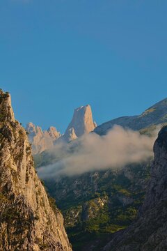 El naranjo de Bulnes
