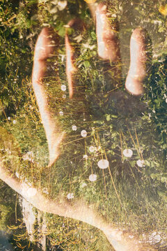 Double Exposure of Hands and Summer Nature
